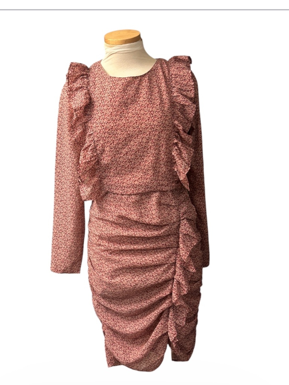Neo Noir Ruffled Lris Mini  Garden Dress Pink Floral Long-Sleeve Ruched Size XS
